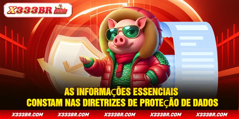 As informações essenciais constam nas diretrizes de proteção de dados