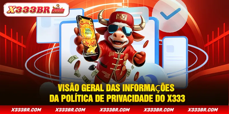 Visão geral das informações da Política de Privacidade do X333